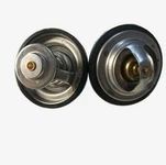 BF6M1013 Termostat del motor